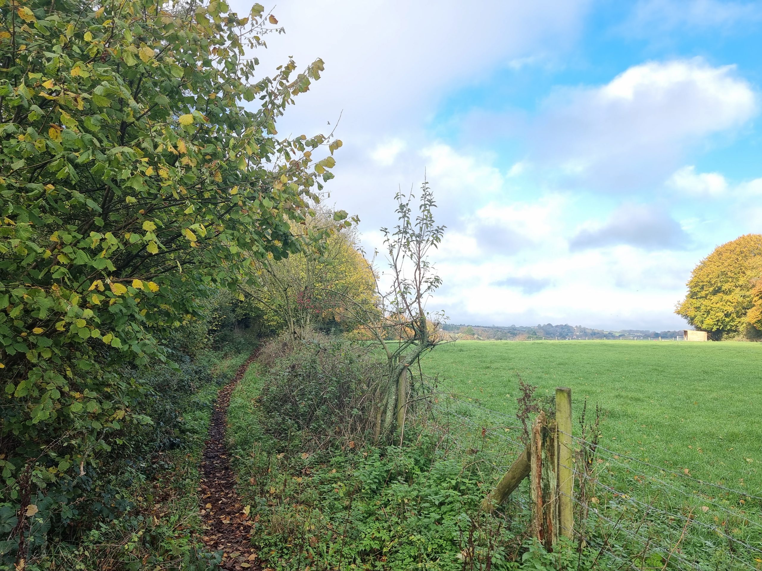 A Run and a Task